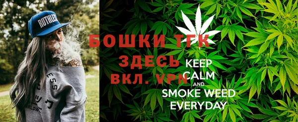 винт Аркадак