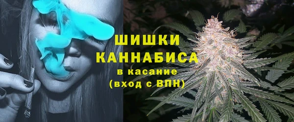 дурь Арсеньев