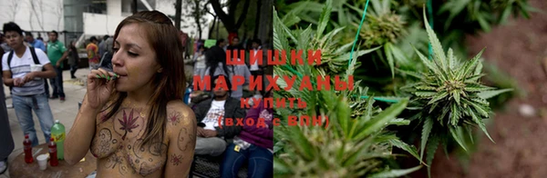 бошки Няндома